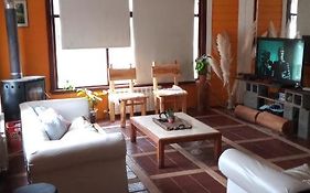 Posada Copahue